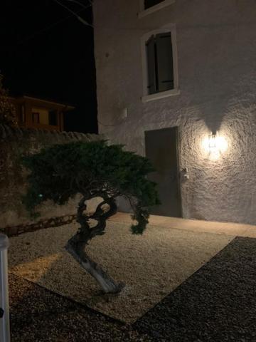Magnolia Country House Pescantina Εξωτερικό φωτογραφία