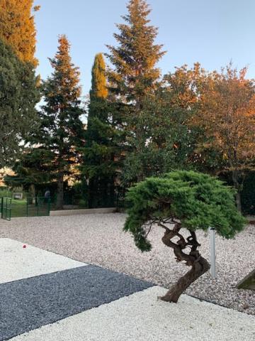 Magnolia Country House Pescantina Εξωτερικό φωτογραφία